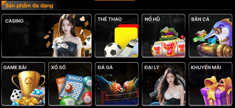 Về Chúng Tôi 3 Đa Dạng Hóa Sản Phẩm Giải Trí