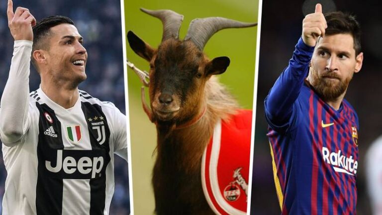 Goat Trong Bóng Đá Là Gì? Khái Niệm Và Ý Nghĩa Vĩ Đại 47 Goat Trong Bóng Đá Là Gì? Khái Niệm Và Ý Nghĩa Vĩ Đại
