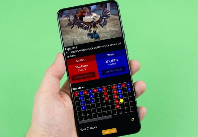 Cách Nhận Biết Gà Cửa Trên Trong Cá Cược Nếu Muốn Ăn Dày 4 Giá kèo nhà cái và biến động odds