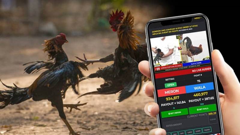 789BET - đăng nhập 789BET.COM trang chủ 789 Bet mới nhất 3 Phân Tích Tỷ Lệ Kèo Đá Gà Chọi - Đọc Kèo Chuẩn, Bắt Tiền Chắc